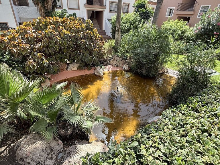 Apartment for Sale in Guadalmina Alta, Malaga 35