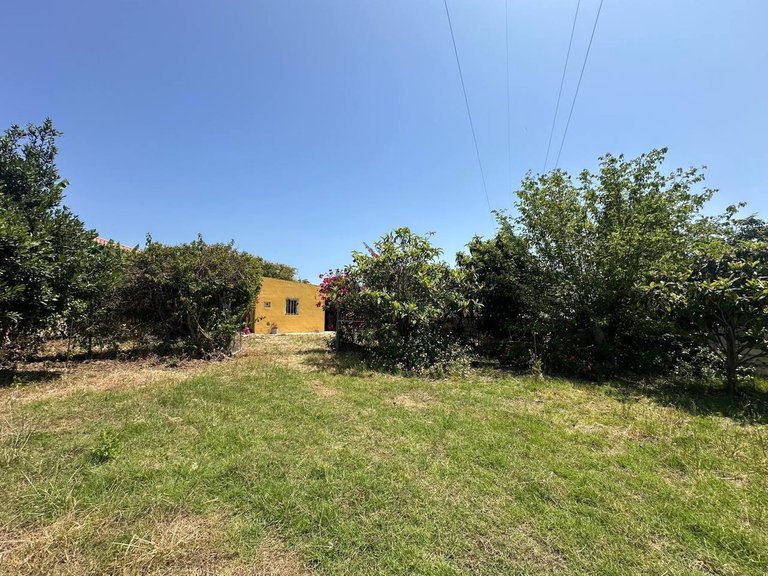 Villa for Sale in Estepona, Malaga 14