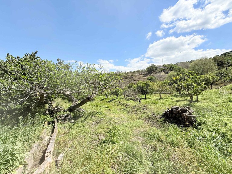 Villa for Sale in Coín, Malaga 29