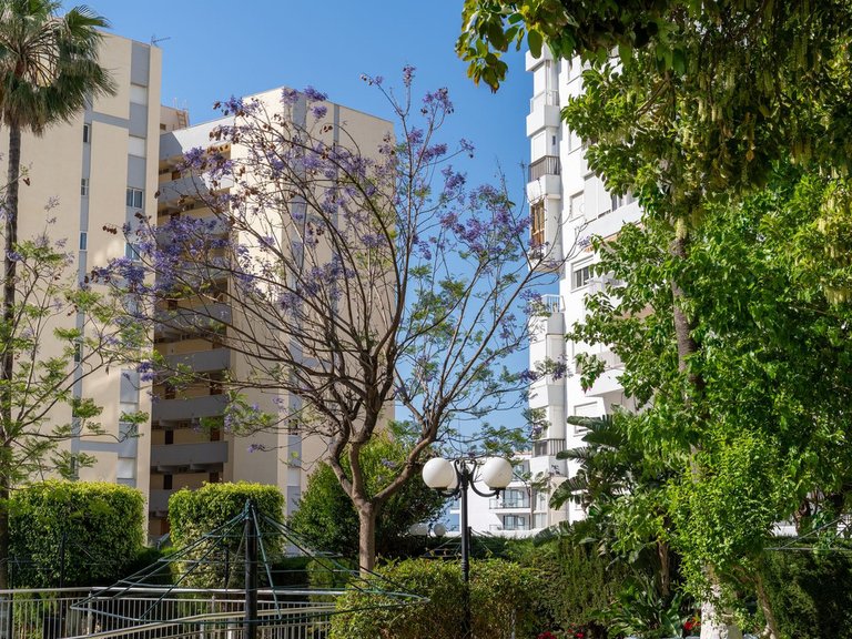 Apartment for Sale in Costa del Sol, Benalmadena Costa, Malaga 38