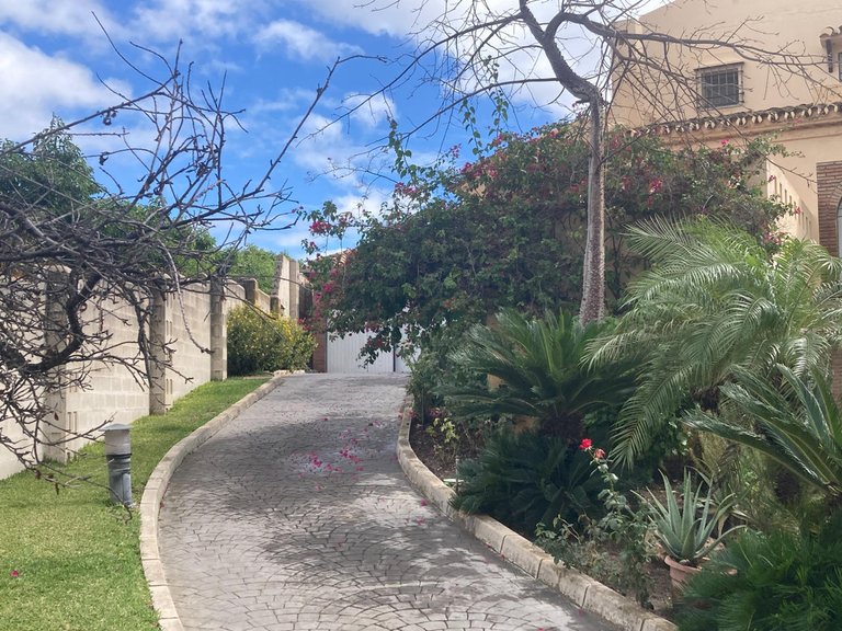 Villa for Sale in Selwo, Malaga 14