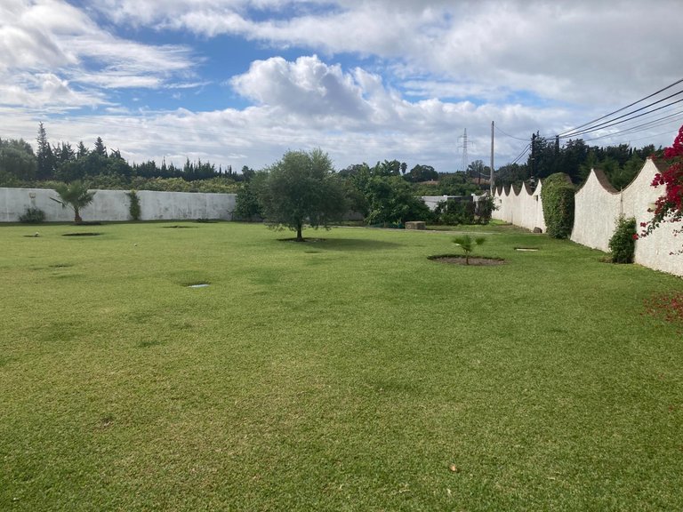 Villa for Sale in Selwo, Malaga 4