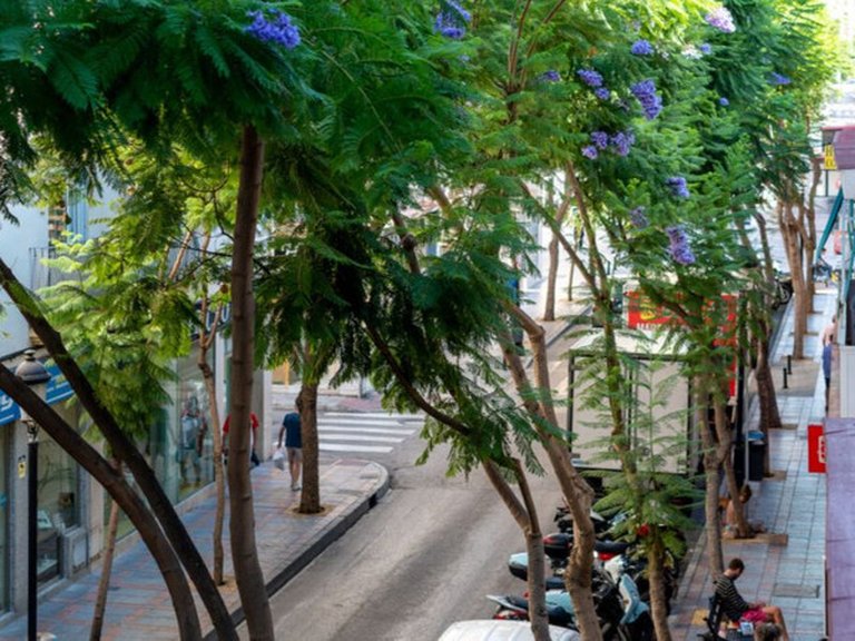 Apartment for Sale in Los Boliches, Malaga 12