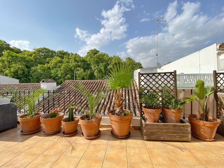Apartment for Sale in Marbella, Malaga 32