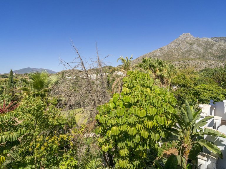 Apartment for Sale in Marbella, Malaga 52