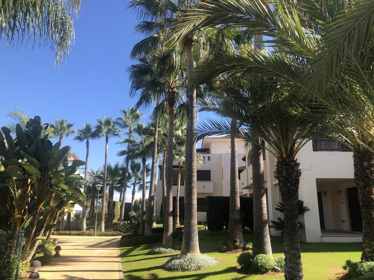 Apartment for Sale in Nueva Andalucía, Malaga 1