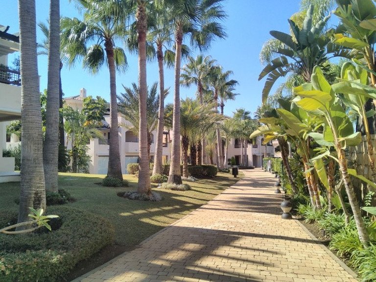 Apartment for Sale in Nueva Andalucía, Malaga 19