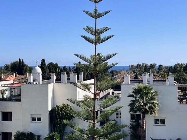 Apartment for Sale in San Pedro De Alcántara, Malaga 31