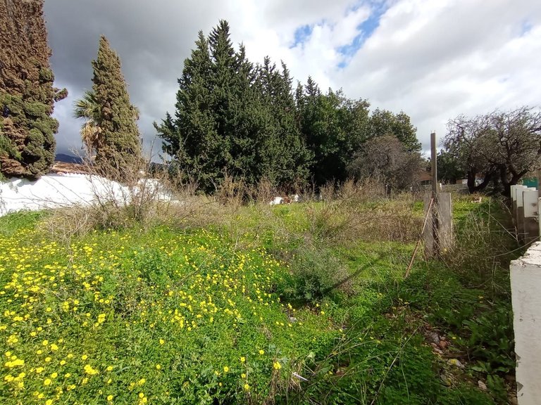 Plot for Sale in Marbella, Malaga 1