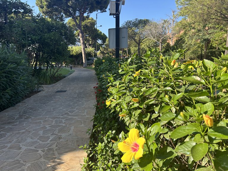 Apartment for Sale in El Presidente, Malaga 12
