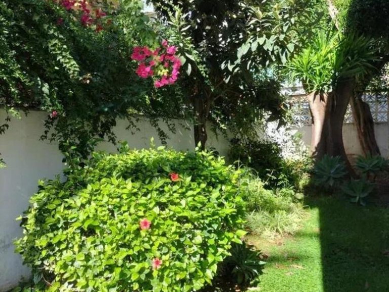Apartment for Sale in Marbella, Malaga 27
