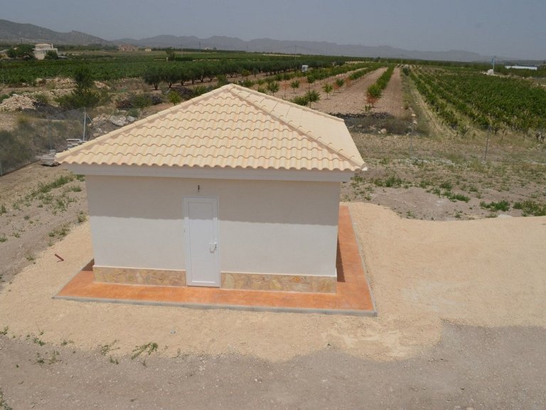 Villa for Sale in Pinoso, Alicante 40