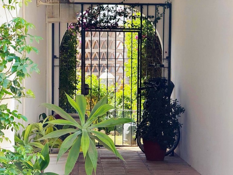 Villa for Sale in Mijas Golf, Malaga 6
