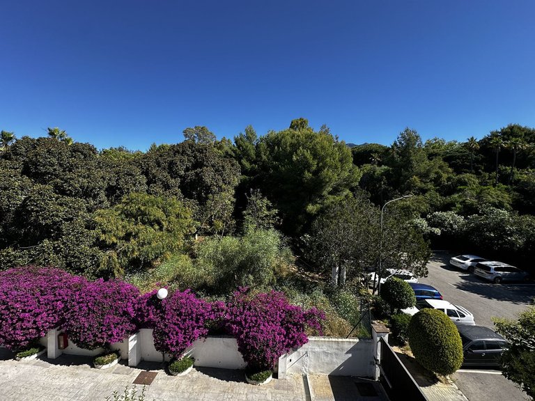 Villa for Sale in Nagüeles, Malaga 14