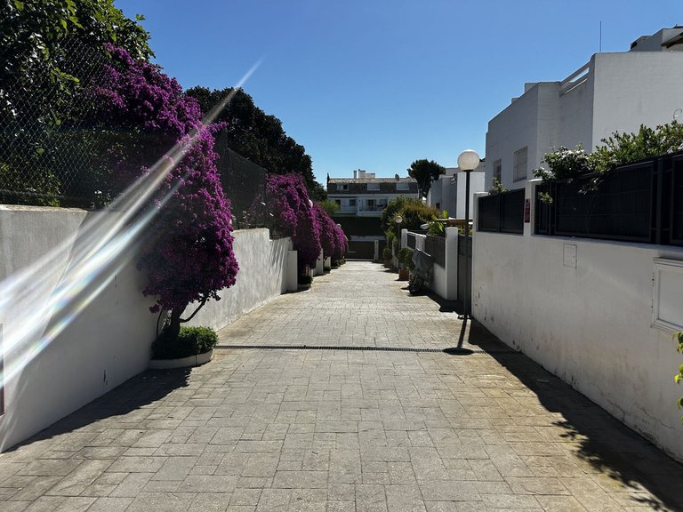 Villa for Sale in Nagüeles, Malaga 23