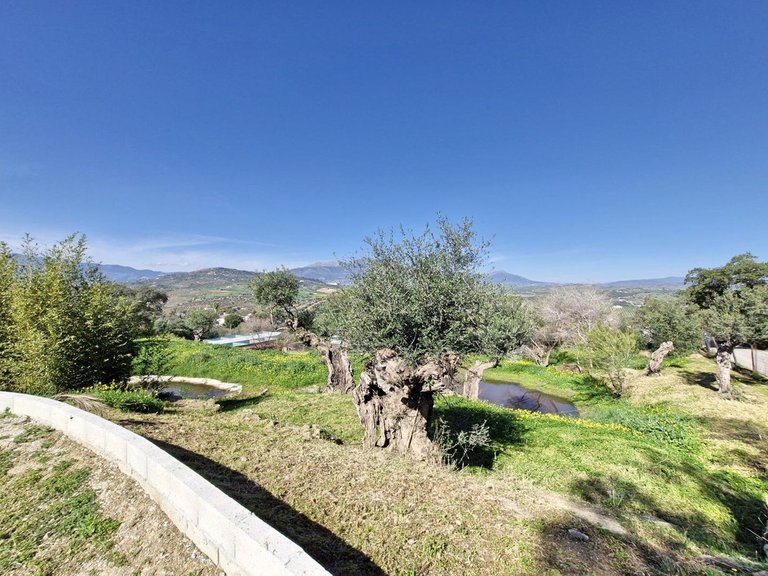Villa for Sale in Coín, Malaga 25