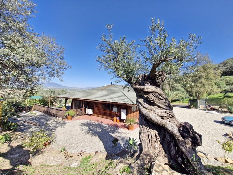 Villa for Sale in Coín, Malaga 27