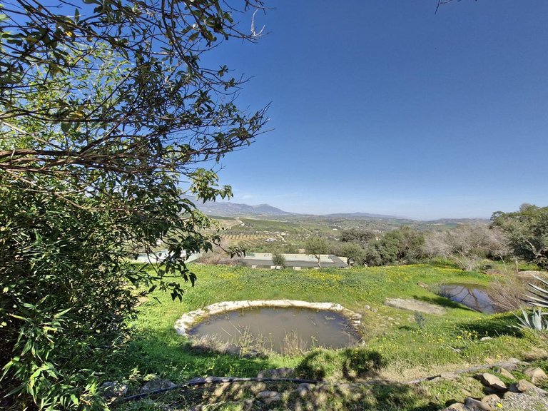 Villa for Sale in Coín, Malaga 32