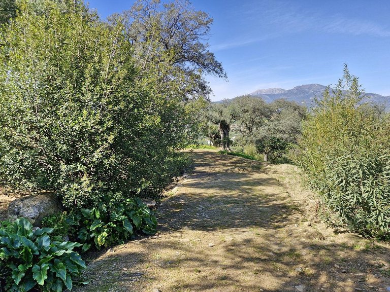 Villa for Sale in Coín, Malaga 33
