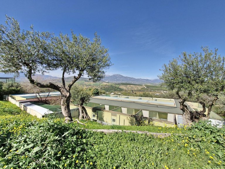 Villa for Sale in Coín, Malaga 35