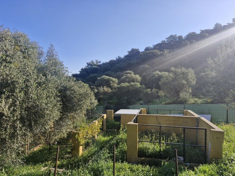 Villa for Sale in Coín, Malaga 43