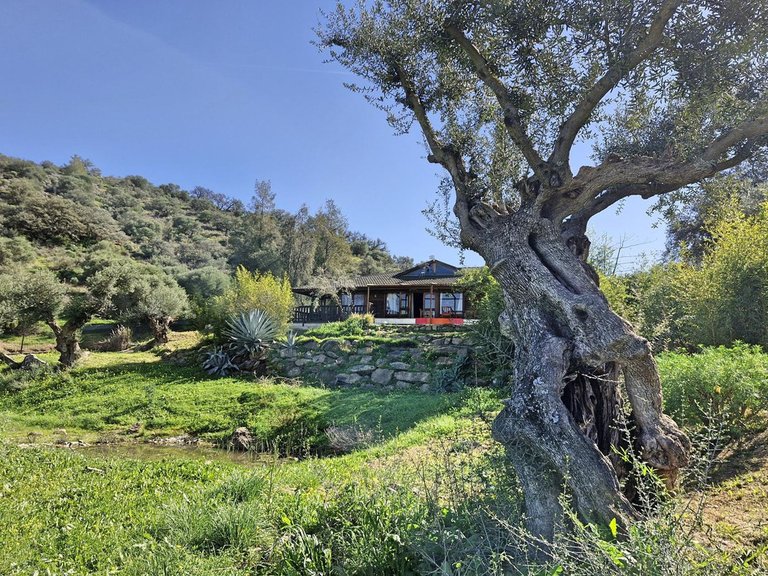 Villa for Sale in Coín, Malaga 45