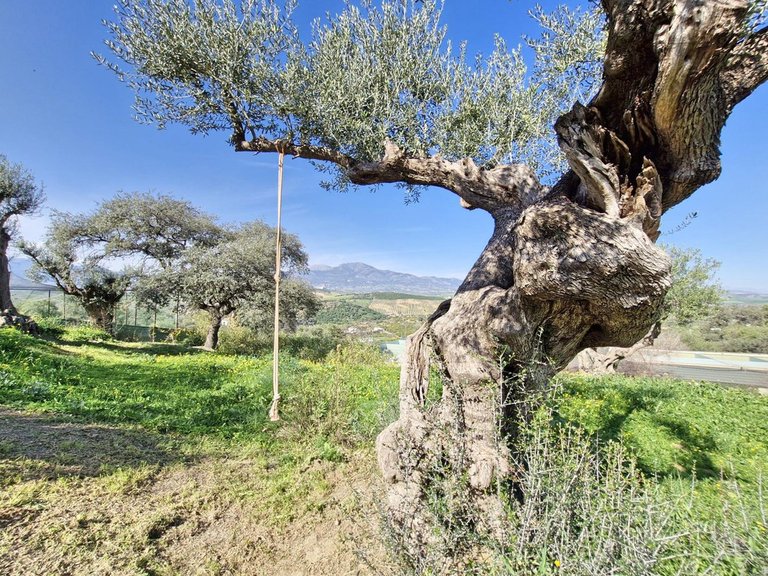 Villa for Sale in Coín, Malaga 47