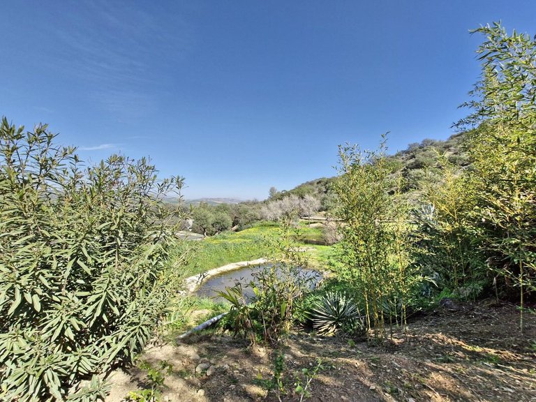 Villa for Sale in Coín, Malaga 49