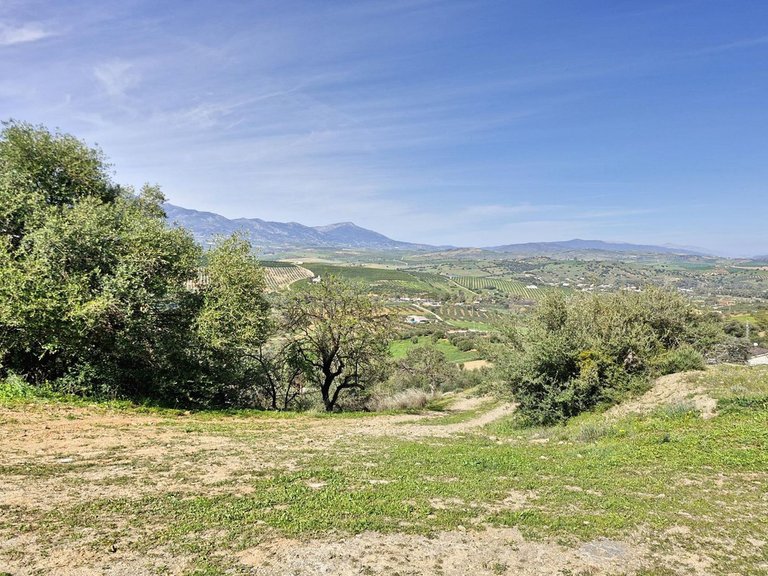 Villa for Sale in Coín, Malaga 52