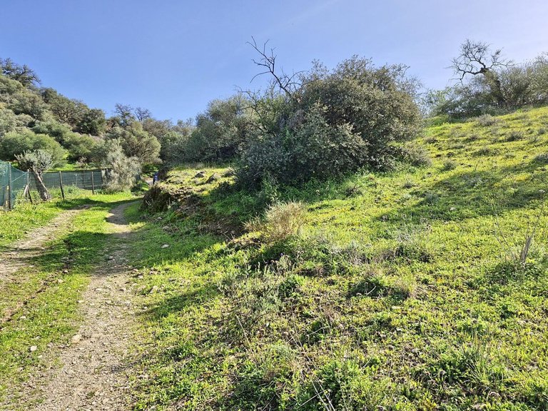 Villa for Sale in Coín, Malaga 53