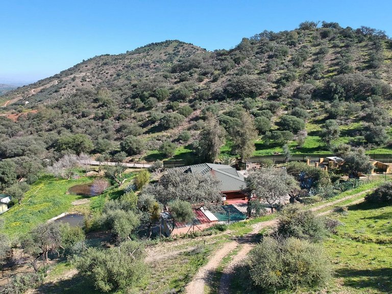 Villa for Sale in Coín, Malaga 56