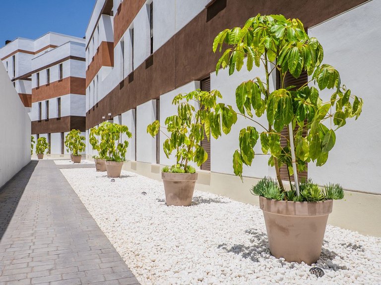 Apartment for Sale in Estepona, Malaga 28