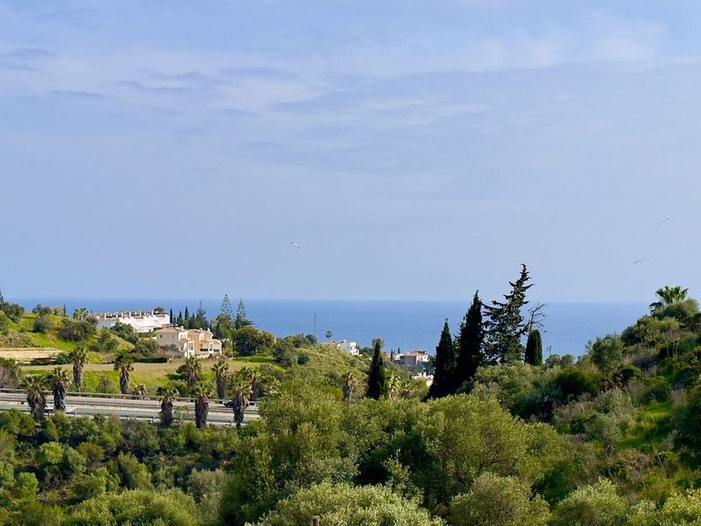Villa for Sale in Mijas, Malaga 3