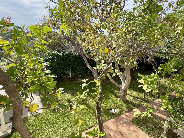 Villa for Sale in Mijas, Malaga 34