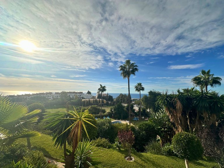 Apartment for Sale in Calahonda, Malaga 20