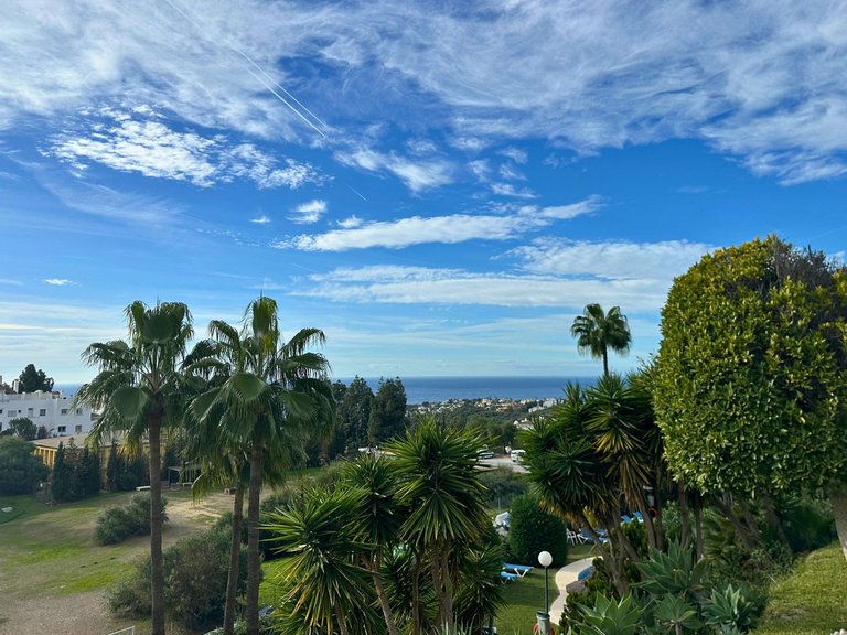 Apartment for Sale in Calahonda, Malaga 25