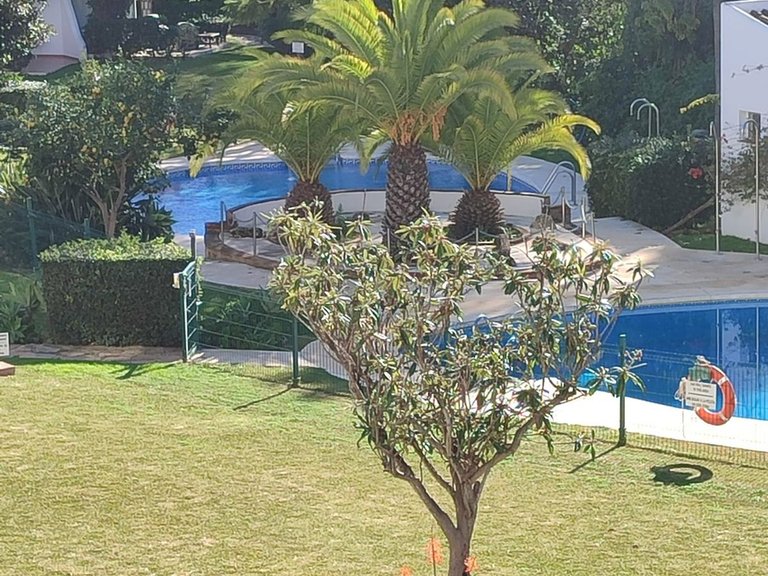 Apartment for Sale in Calahonda, Malaga 10