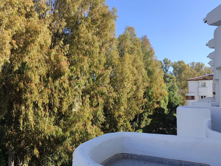 Apartment for Sale in Calahonda, Malaga 12