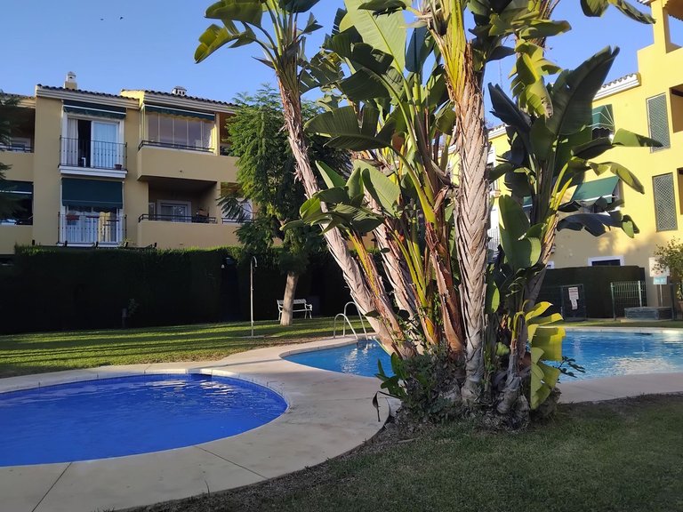 Apartment for Sale in Guadalmina Baja, Malaga 13