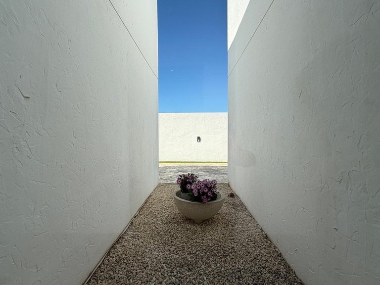 Villa for Sale in Algorfa, Alicante 13