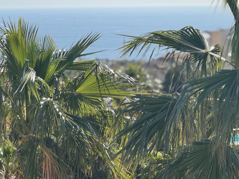 Villa for Sale in Fuengirola, Malaga 31