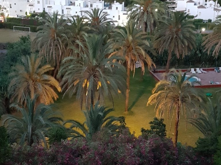 Apartment for Sale in Estepona, Malaga 25