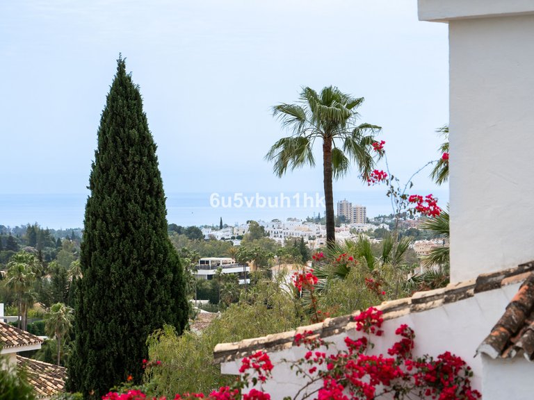 Villa for Sale in Marbella, Malaga 9
