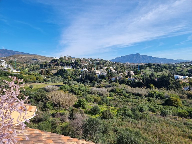 Apartment for Sale in Estepona, Malaga 11