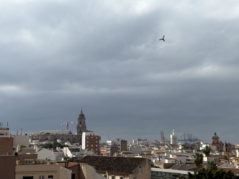 Apartment for Sale in Málaga Centro, Malaga 17
