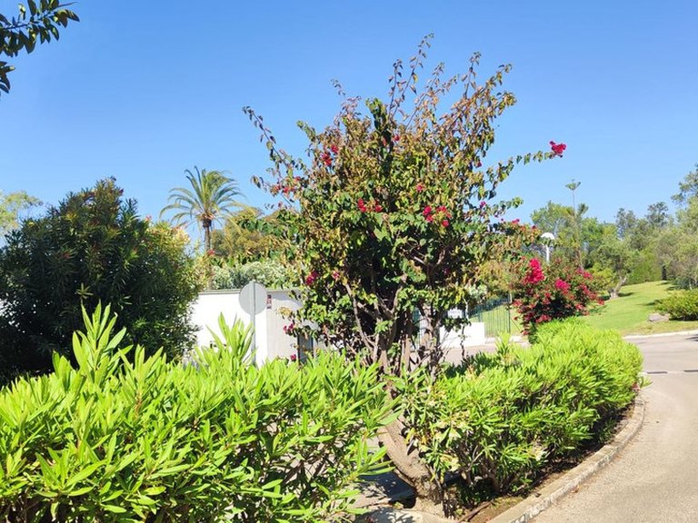 Apartment for Sale in Marbella, Malaga 30
