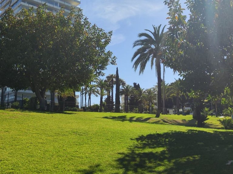 Apartment for Sale in Marbella, Malaga 31