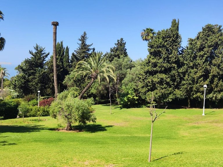 Apartment for Sale in Marbella, Malaga 35
