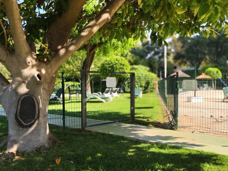 Apartment for Sale in Marbella, Malaga 37