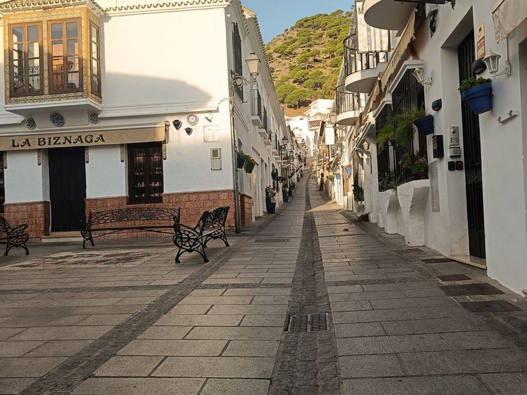 Villa for Sale in Mijas, Malaga 4